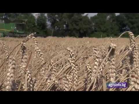 Видео: ТИМАК АГРО  -  "Бен Хън Агро" -  с  Ново село, Видинско