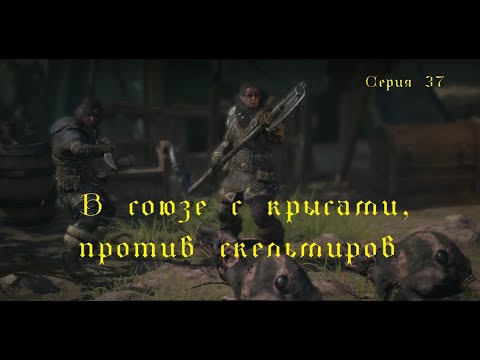 Видео: В союзе с крысами против скельмиров! In alliance with rats against skelmirs!
