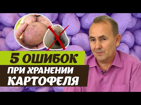 Видео: Как правильно хранить картофель. Советы специалиста