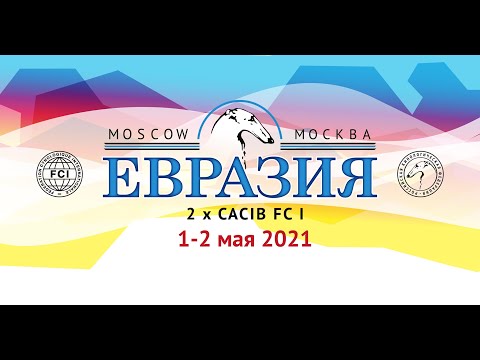 Видео: Евразия 02.05.2021 ринги босеронов