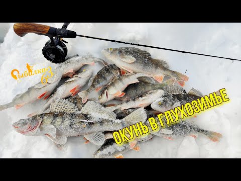 Видео: НА ЧТО КЛЮЁТ ОКУНЬ В ГЛУХОЗИМЬЕ? РАБОЧИЙ БАЛАНСИР И НЕ ХИТРАЯ ПРОВОДКА ДЛЯ ОКУНЯ!!!