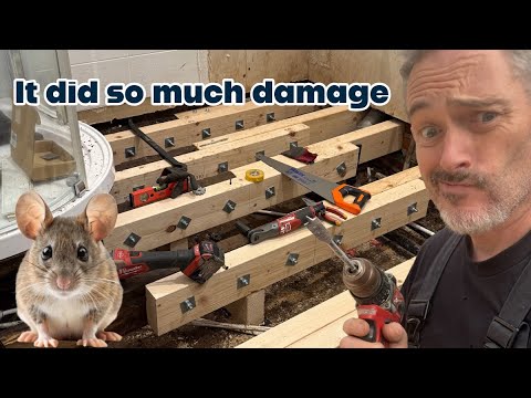 Видео: Начался ремонт в бунгало 110.