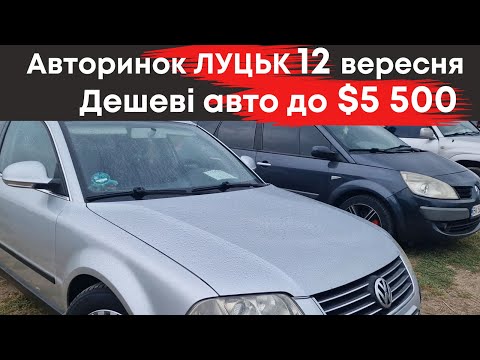 Видео: Бюджетні авто до $5500 на Луцькому авторинку 12 вересня #авториноклуцьк