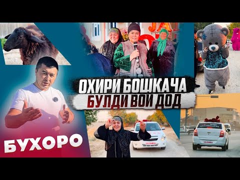 Видео: БУХОРОДА ҚУЙ СУЙИЛДИ ТУЙ БОШЛАНДИ ✨ БУХОРО ТРЕНД ДА ☄️