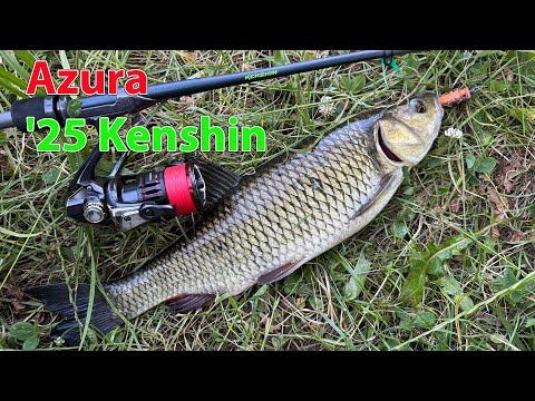 Видео: Неймовірна рибалка на дикій природі ! новий спінінг Azura '25 Kenshin