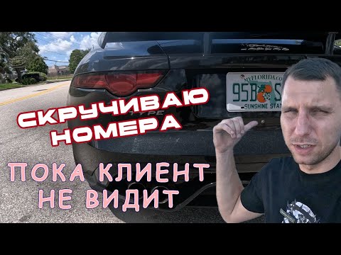 Видео: В Америке ШАТДАУН, а граждане пируют. Ничто не предвещало беды – снова сломался.
