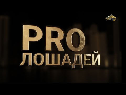 Видео: PRO_Лошадей. Кабирхан. 12 ноября 2023 года. 13:50