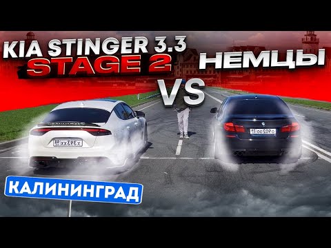 Видео: KIA Stinger 3.3  Stage 2 ПРОТИВ НЕМЦЕВ! BMW, Skoda, Mercedes