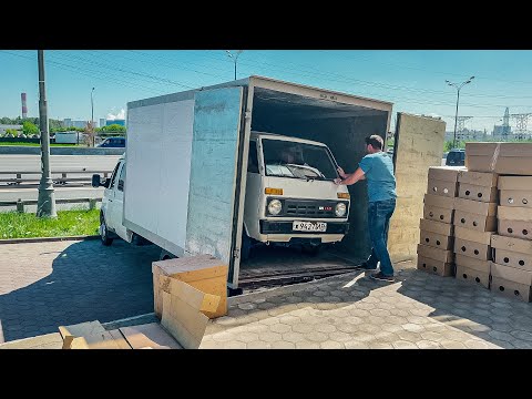 Видео: Миша скупает КЕЙКАРЫ. Тайны Японского автопрома
