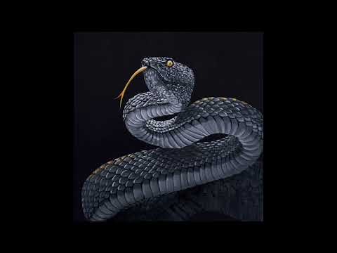 Видео: M4STAAMIND - ДГД (Official Audio)