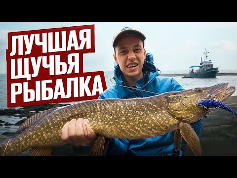 Видео: Рыбалка в тундре: ОГРОМНЫЕ щуки на большие приманки! (Кольский ч.3)