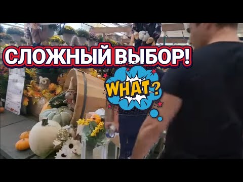 Видео: ❤️‍🔥Как же Нам Быть?Сложный Выбор!❤️‍🔥