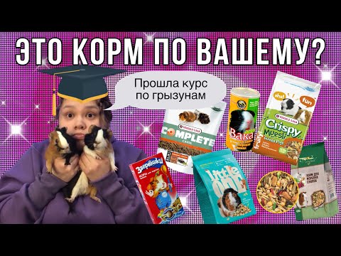 Видео: КОРМ ДЛЯ МОРСКИХ СВИНОК🤔/ Ютуб/ Little one, Зверюшки, Triol original, Вака люкс, Versele-Laga