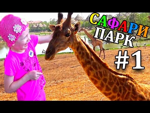 Видео: Сафари парк для всей семьи #1 Кормим и гладим Жирафа Шоу Обезьян Зоопарк в Бангкоке