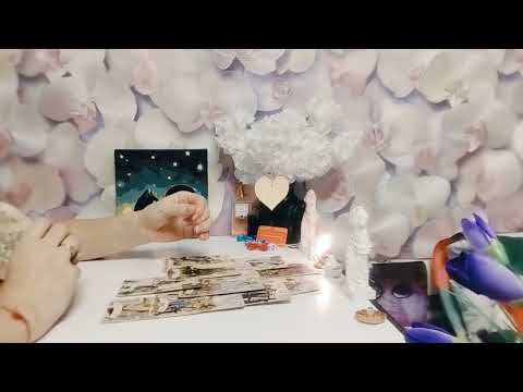 Видео: Новый знакомый: мысли, чувства и действия! И ещё сопутствующие вопросы)