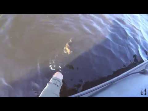 Видео: Рыбалка на щуку . Озеро Вуокса .