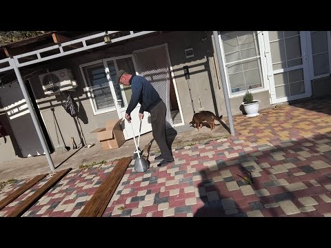 Видео: 1 ноября 2025 г.