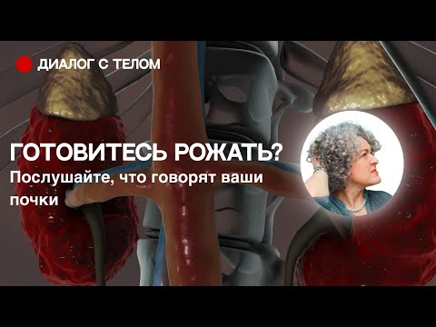 Видео: Если готовитесь рожать или болит поясница, поговорите с почками. Диалог с телом. Почки. 
