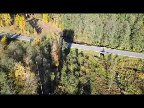 Видео: 5 ноября 2025 г.