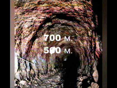 Видео: КАРЬЕР.Выход на работу.