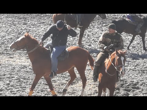 Видео: Бузкаши дар дехаи Киштудак кисми 1 . 20 01 2024.