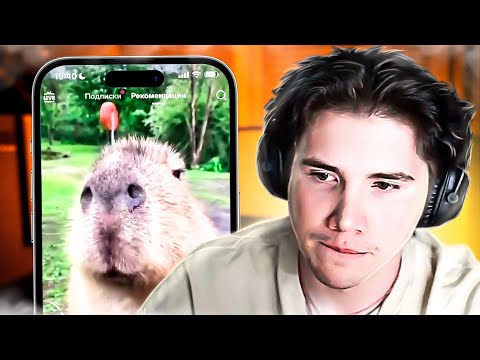 Видео: ШАДОУКЕК СМОТРИТ УГАРНЫЕ ТИК ТОКИ