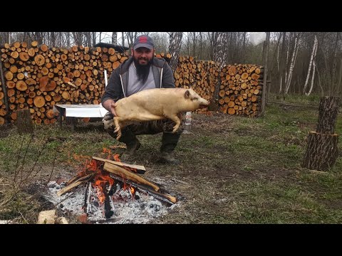 Видео: Поросёнок целиком, на углях фаршированный