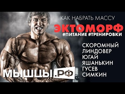 Видео: Эктоморф: как набрать массу? Скоромный, Линдовер, Гусев и др.
