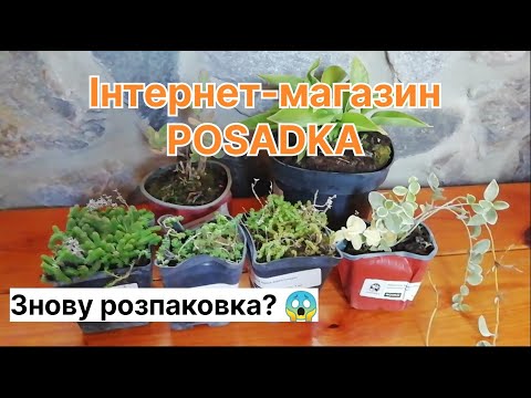 Видео: Розпаковка посилки від інтернет-магазину POSADKA  #розпаковка #рослини #садівництво #сад