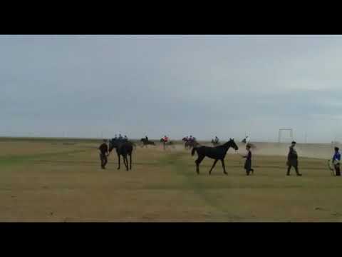 Видео: Маштексай аламан байге