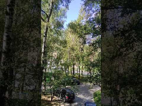 Видео: Кечке 🕌Астагфируллах ува аьатубу илайх 🏡деп айта бериниз Жакшылык сиз мн болот