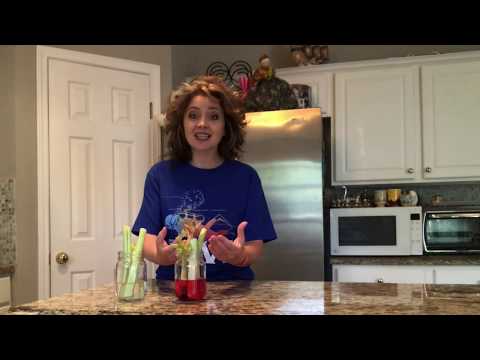 Видео: Скажи мне кто твой друг и я скажу кто -ты! Библия и эксперименты.