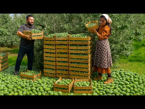 Видео: Молодая кочевая семья собирает фейхоа и готовит 4 блюда | Документальный фильм