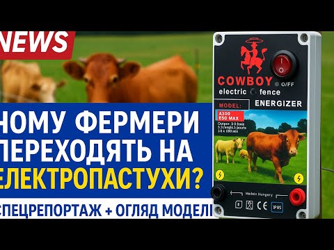 Видео: Електропастух cowboy 4200 eco max, репортаж від вісник ч, Чому електропастух це вигідно 
