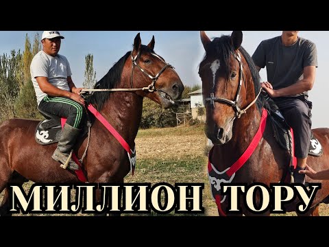 Видео: МИЛЛИОН ТОРУ ЭЛАМАНДАН ЧЫКТЫ