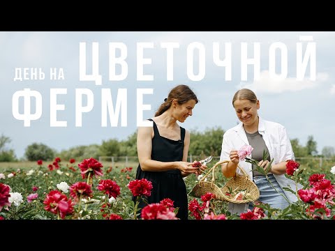 Видео: Один день на цветочной ферме. Серия 1.
