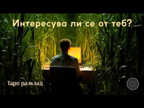 Видео: ИНТЕРЕСУВА ЛИ СЕ ОТ ТЕБ?💘🔮