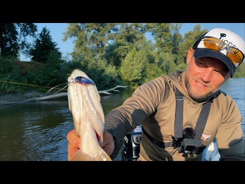 Видео: Рыбалка с палатками. Воблер который всех порвал!