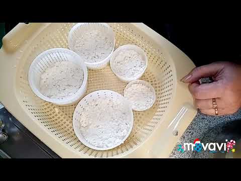 Видео: Сыр Халуми из козьего молока😋