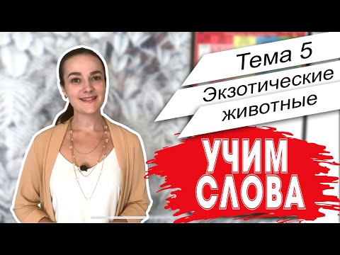 Видео: Английский. Начало. Учим слова - Тема 5 Экзотические животные