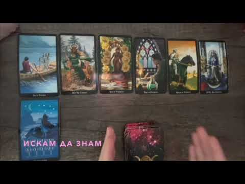 Видео: Как ще се развият нещата  #таро #тароонлайн #тарогадание #тароотношения