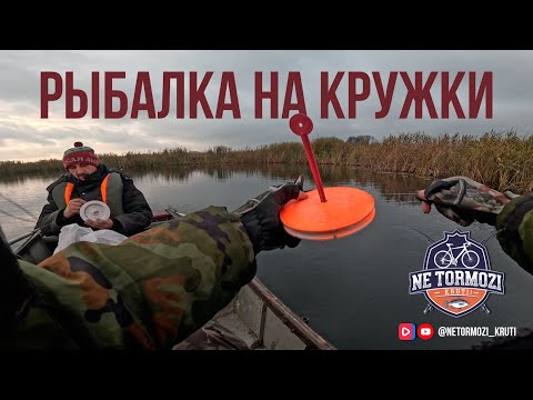 Видео: Первый раз ловим на кружки. Река Воронеж