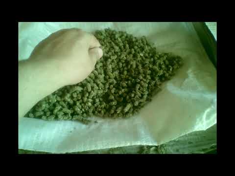 Видео: Переработка камыша