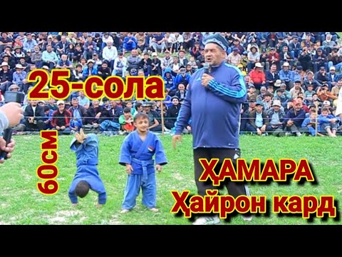 Видео: И Хамара ба Хайрат овард. Гуштини Хисор. Гуштин 2025