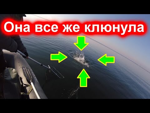 Видео: Первая рыбалка на Нарочи. Ловля щуки.