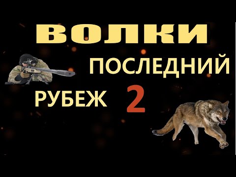 Видео: ОХОТА НА ВОЛКА. ВОЛКИ ПОСЛЕДНИЙ РУБЕЖ 2