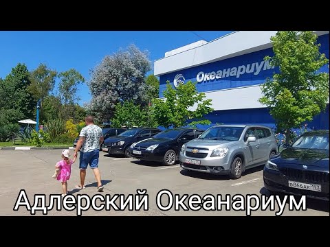 Видео: Океанариум Адлер 2023. Первый раз едем  на ласточке. Первый заплыв дочи в Черное море в этом году