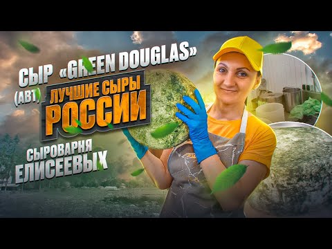 Видео: Сыр "Green Douglas" (Авт) /Частная сыроварня "Сыроварня Елисеевых"/Оборудование для сыроварни Maggio