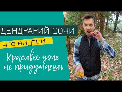 Видео: СОЧИ: ДЕНДРАРИЙ и СУПЕР-БЛИЦ о прелестях города