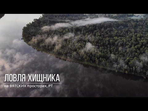 Видео: Рыбалка на хищника с лодки летом, палатка, уха, приключения